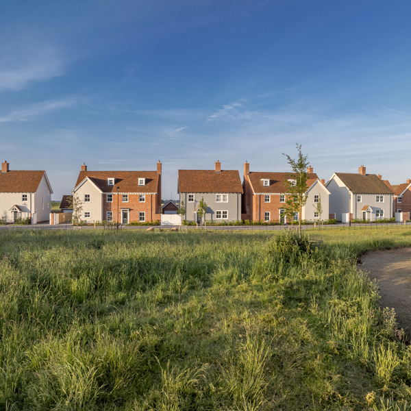 Manningtree-Park-DJI_0053 (11).JPG